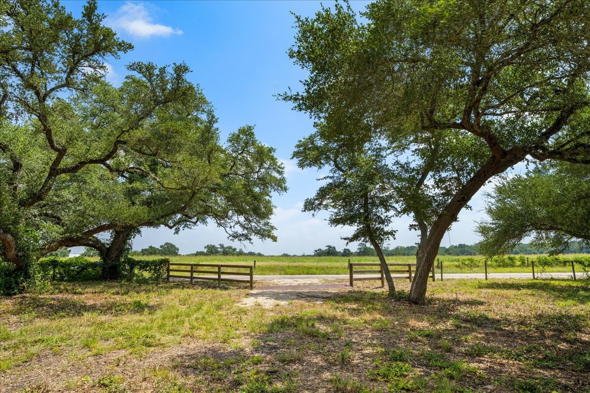 6900 Waldeck Cemetery Road Round Top, TX 78954 - Photo 5 of 24