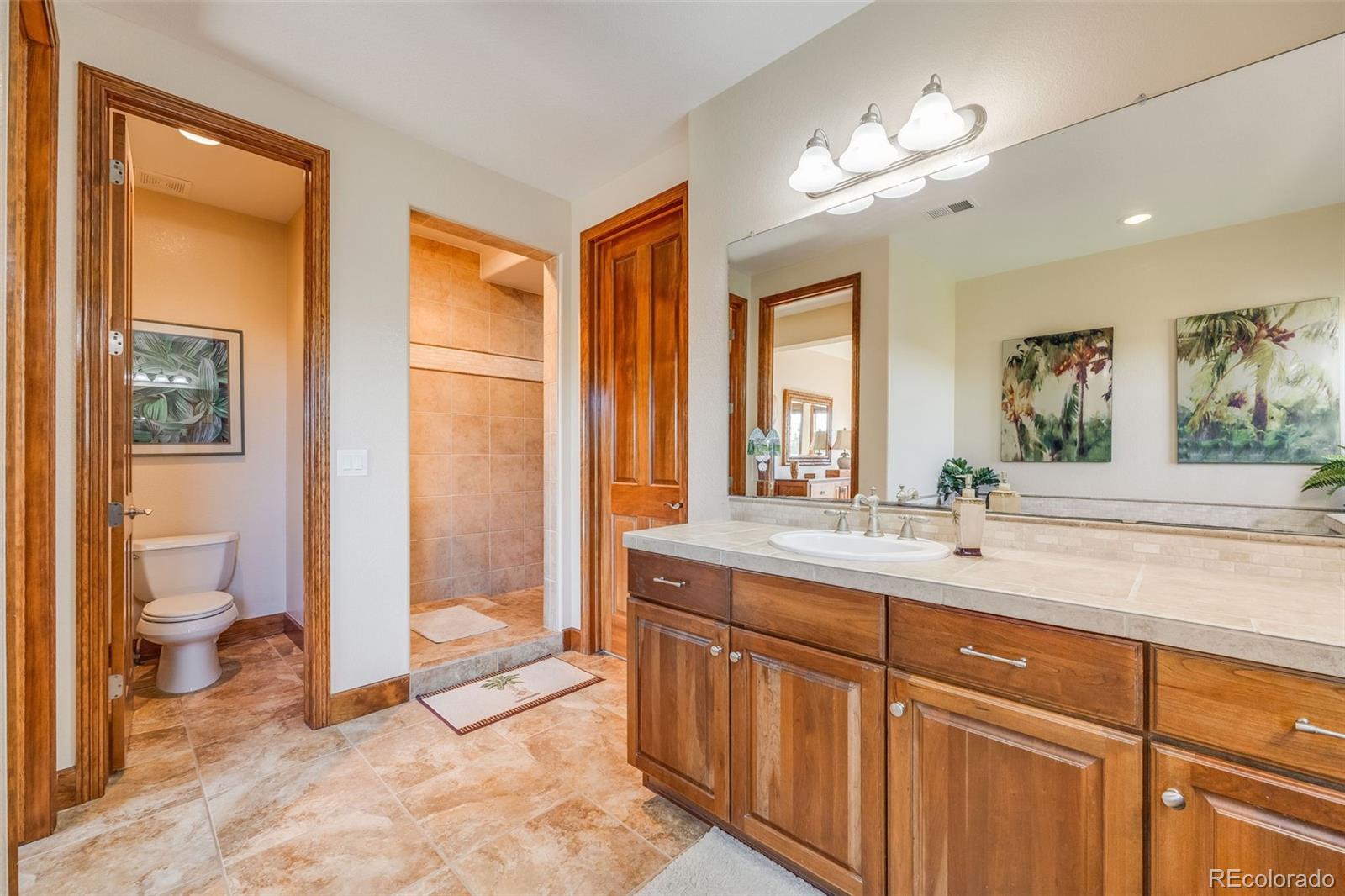10730 Pinewalk Way Highlands Ranch, CO 80130 - Photo 16 of 31 Gallery Image 16
