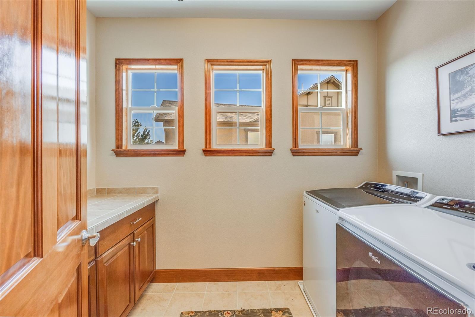 10730 Pinewalk Way Highlands Ranch, CO 80130 - Photo 19 of 31 Gallery Image 19
