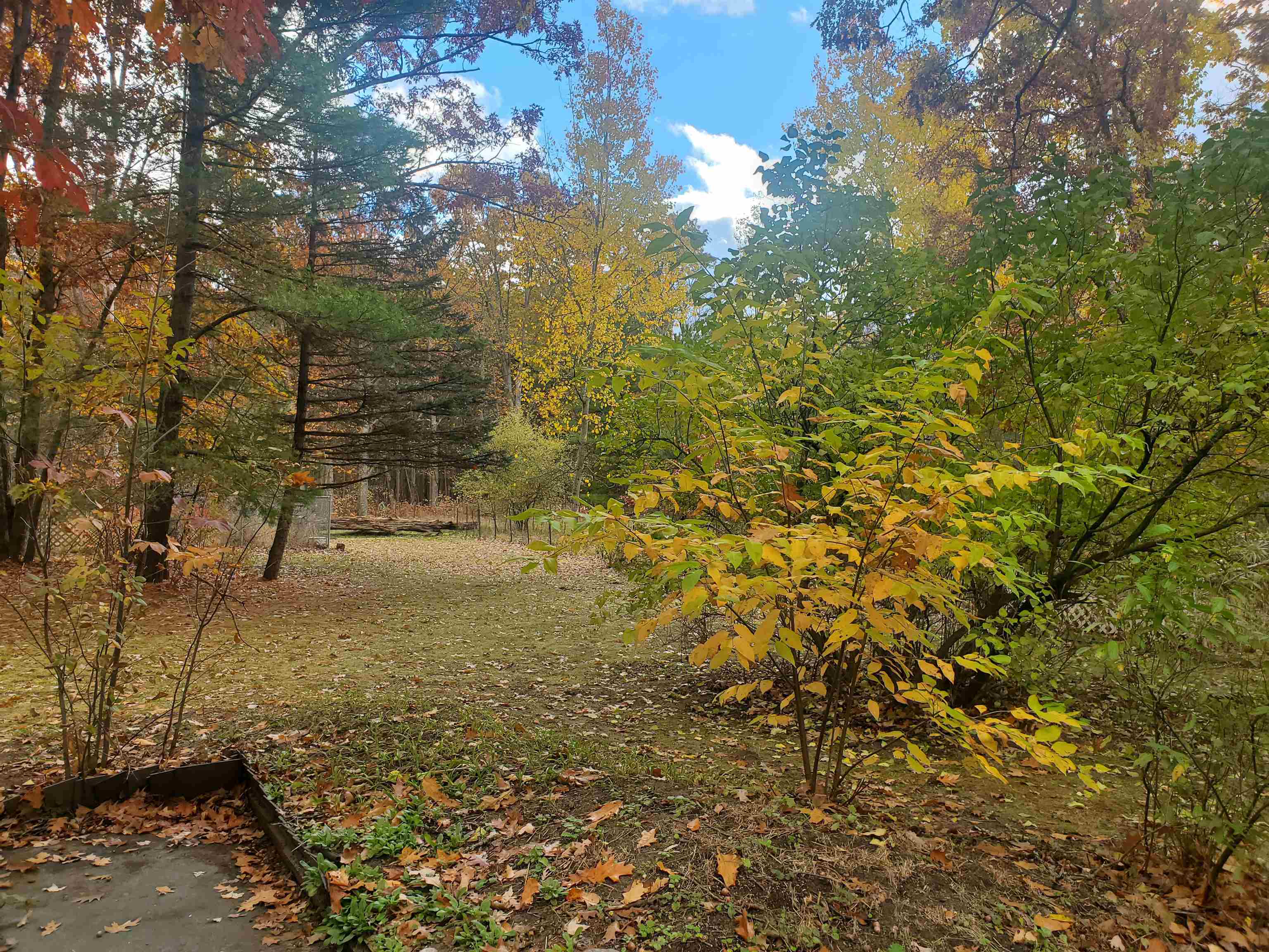 7323 Karlin Road Interlochen, MI 49643 - Photo 23 of 31