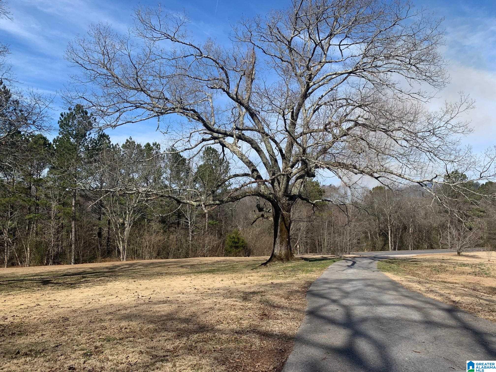 1404 Maxwellborn Road Piedmont, AL 36272 - Photo 3 of 36