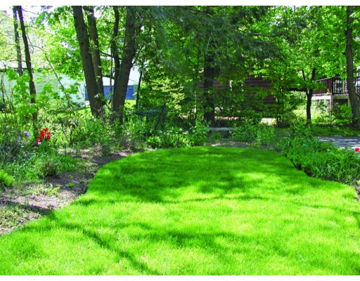 14 Exmoor Road Newton, MA 02459 - Photo 4 of 4 a backyard of a house with lots of green space