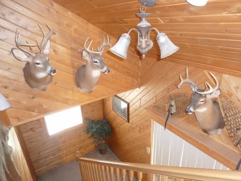3006 East Mt Forest Road Pinconning, MI 48650 - Photo 27 of 33