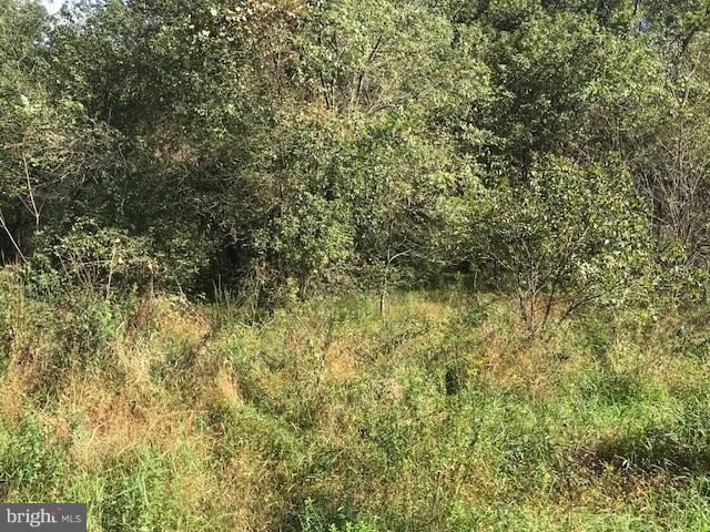 Lot #3 Husson Road Felton, PA 17322 - Photo 3 of 3 Land across the road from lot