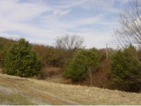 1 Rich Valley Road, Unit 1 Bristol, VA 24202 - Photo 4 of 5 Photo 4