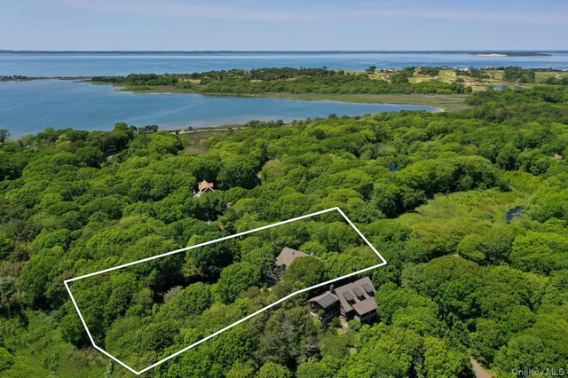 a view of a field with an ocean