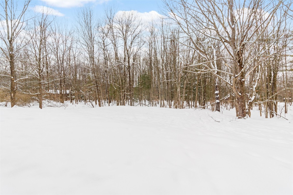 189 Noyes Road Vestal, NY 13850 - Photo 23 of 23 Gallery Image 23