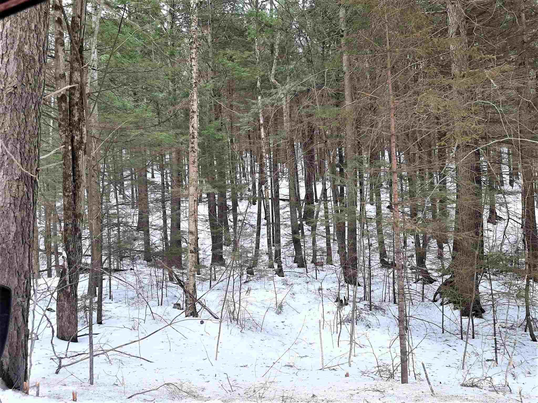 Lot 44 High Brook Road Thornton, NH 03285 - Photo 2 of 4 Gallery Image 2
