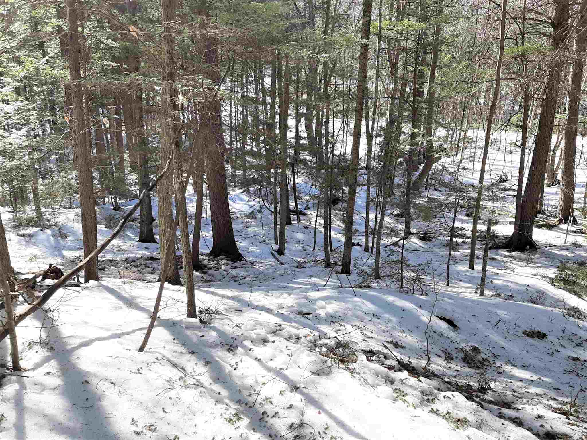 Lot 44 High Brook Road Thornton, NH 03285 - Photo 3 of 4 Gallery Image 3