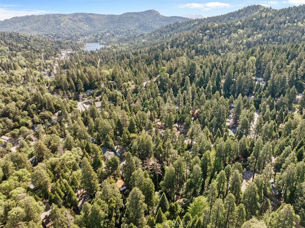 697 Mormon Springs Road Crestline, CA 92325 - Photo 32 of 37 a view of a forest with mountains in the background
