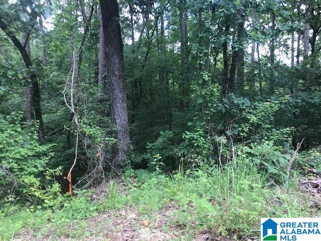 Mountain View Vance, AL 35490 - Photo 4 of 28