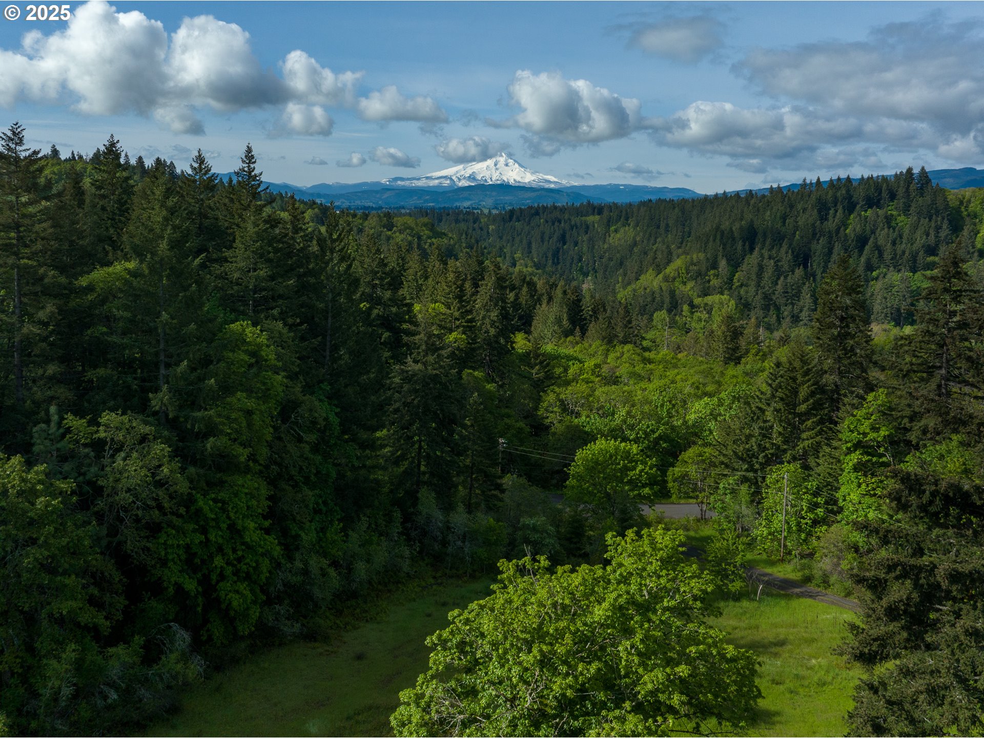 13 Southwest Arnett Road White Salmon, WA 98672 - Photo 21 of 25 a view of a bunch of trees in a field