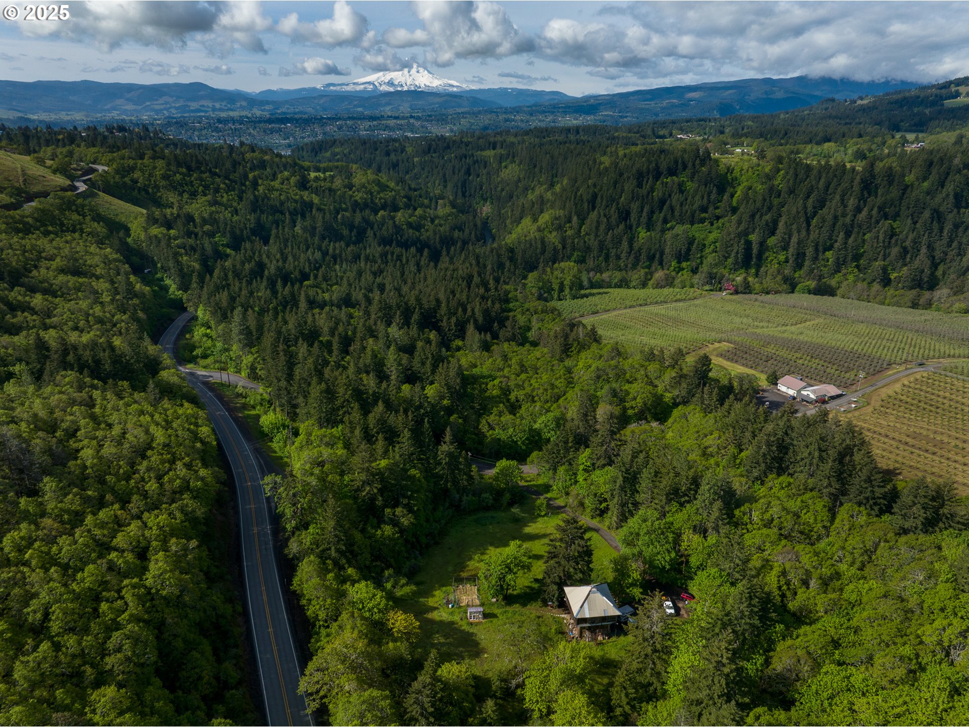 13 Southwest Arnett Road White Salmon, WA 98672 - Photo 22 of 25 a view of a lush green forest