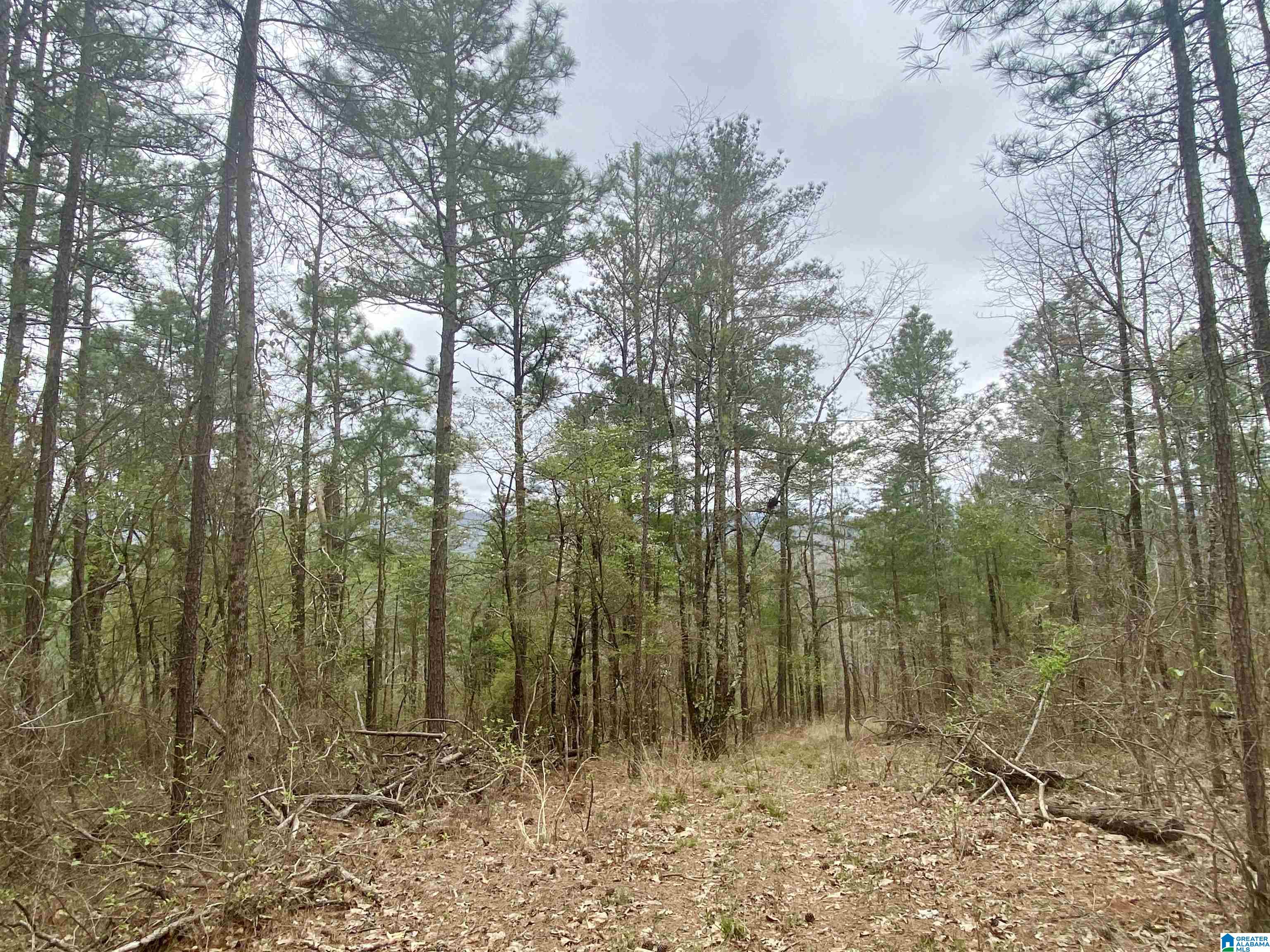 Parcel 2 Sandridge Road, Unit PARCEL 2 Leeds, AL 35094 - Photo 4 of 5