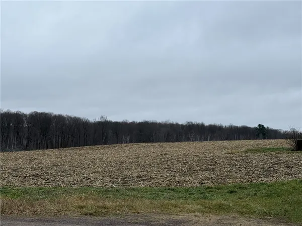 $110,000 | Undisclosed Address, Sarona, WI 54870