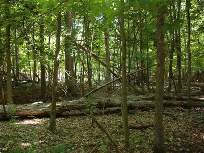 1160 Hopkins Road, Unit K Lyons, MI 48851 - Photo 2 of 7 Additional Photo