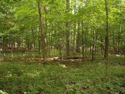 1160 Hopkins Road, Unit K Lyons, MI 48851 - Photo 5 of 7 Additional Photo