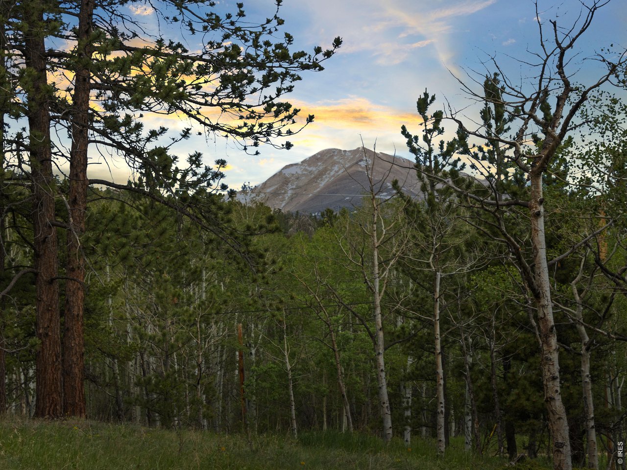 839 Ski Road Allenspark, CO 80510 - Photo 33 of 38