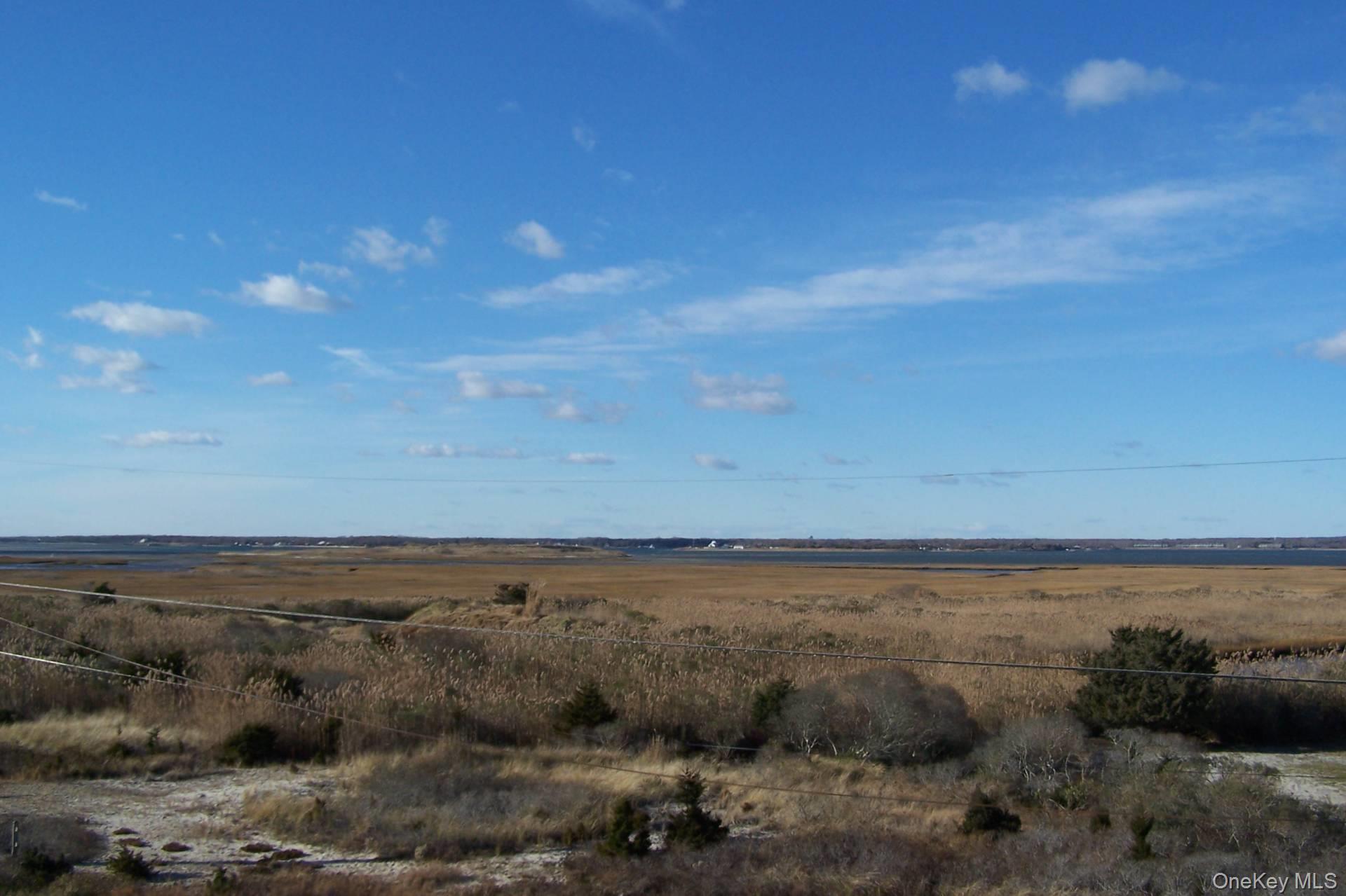 949 B Dune Road West Hampton Dunes, NY 11978 - Photo 19 of 19 View of local wilderness with a rural view