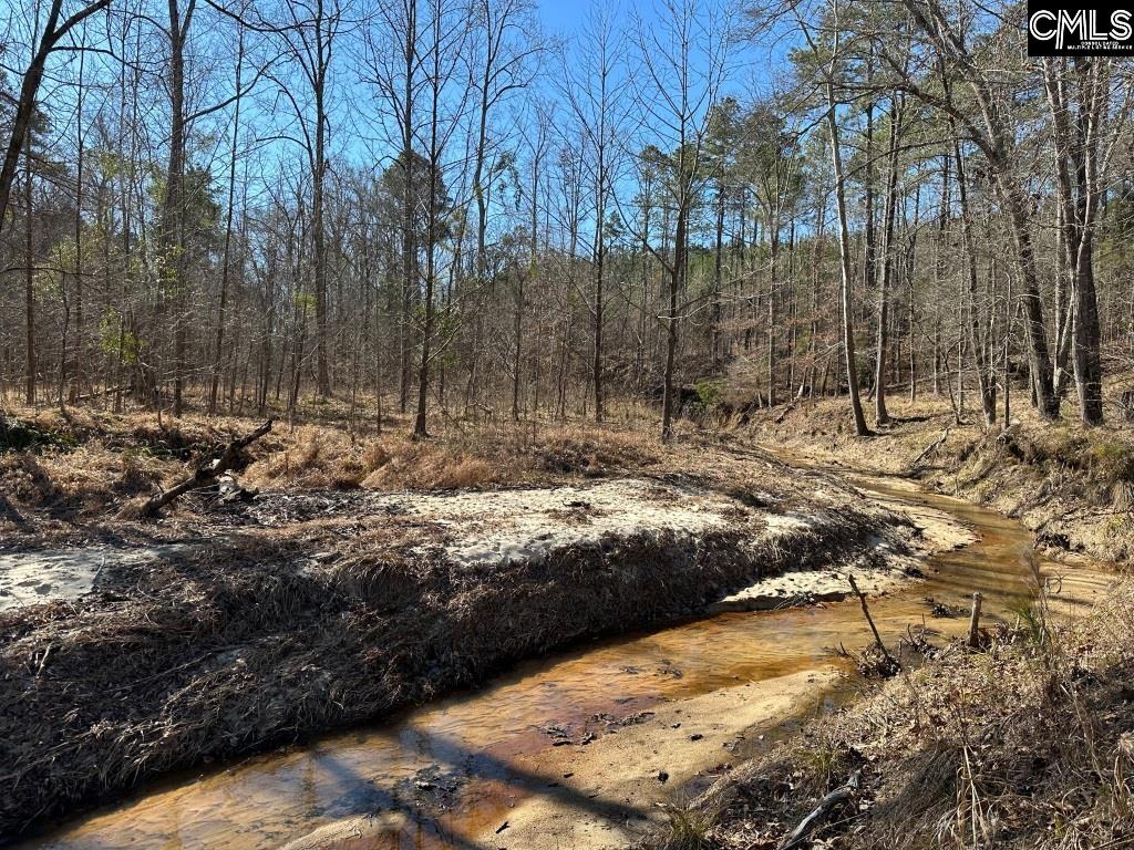 River Road Winnsboro, SC 29180 - Photo 1 of 20