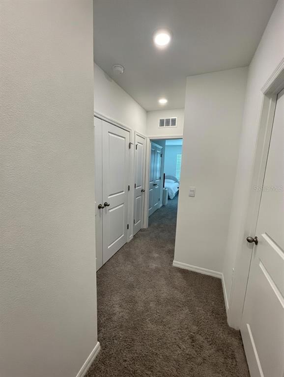 32599 Turtle Grace Loop Wesley Chapel, FL 33545 - Photo 14 of 18