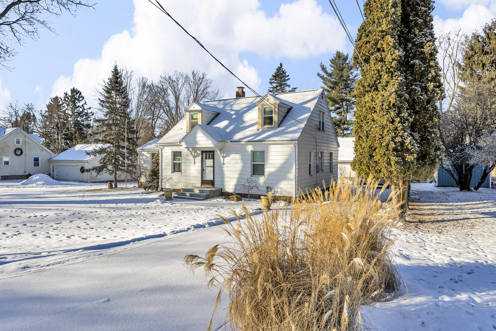 3432 Coolidge Road Jackson, MI 49203 - Photo 1 of 52 0N0A9983