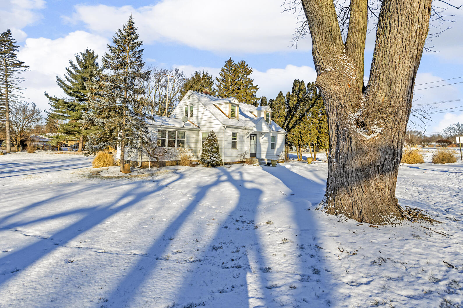 3432 Coolidge Road Jackson, MI 49203 - Photo 45 of 52 0N0A9985