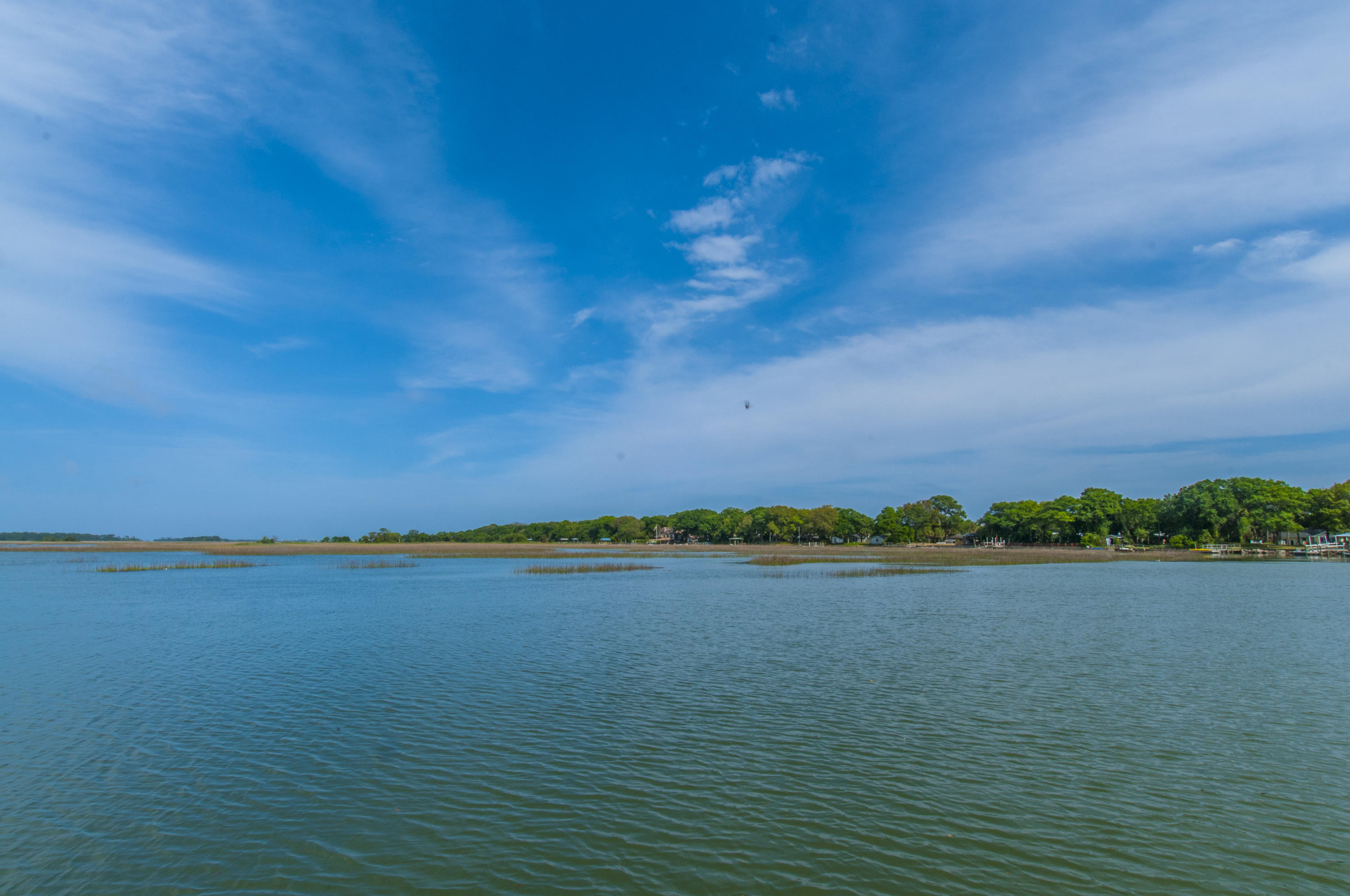 2224 Folly Road, Unit 3D Charleston, SC 29412 - Photo 32 of 43 View from Deck