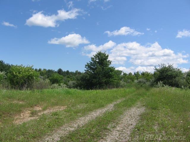 Tbd Burns Line Croswell, MI 48422 - Photo 14 of 19