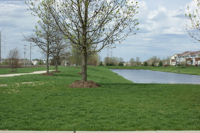 2378 Georgetown Circle Aurora, IL 60503 - Photo 12 of 13 a view of a park with large trees