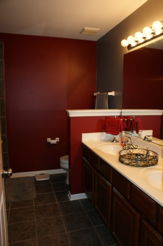 2378 Georgetown Circle Aurora, IL 60503 - Photo 8 of 13 a bathroom with a sink and a mirror