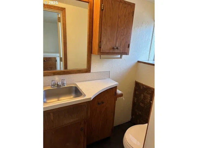 a view of backyard with trees