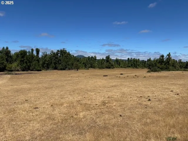 a view of a lake with a yard