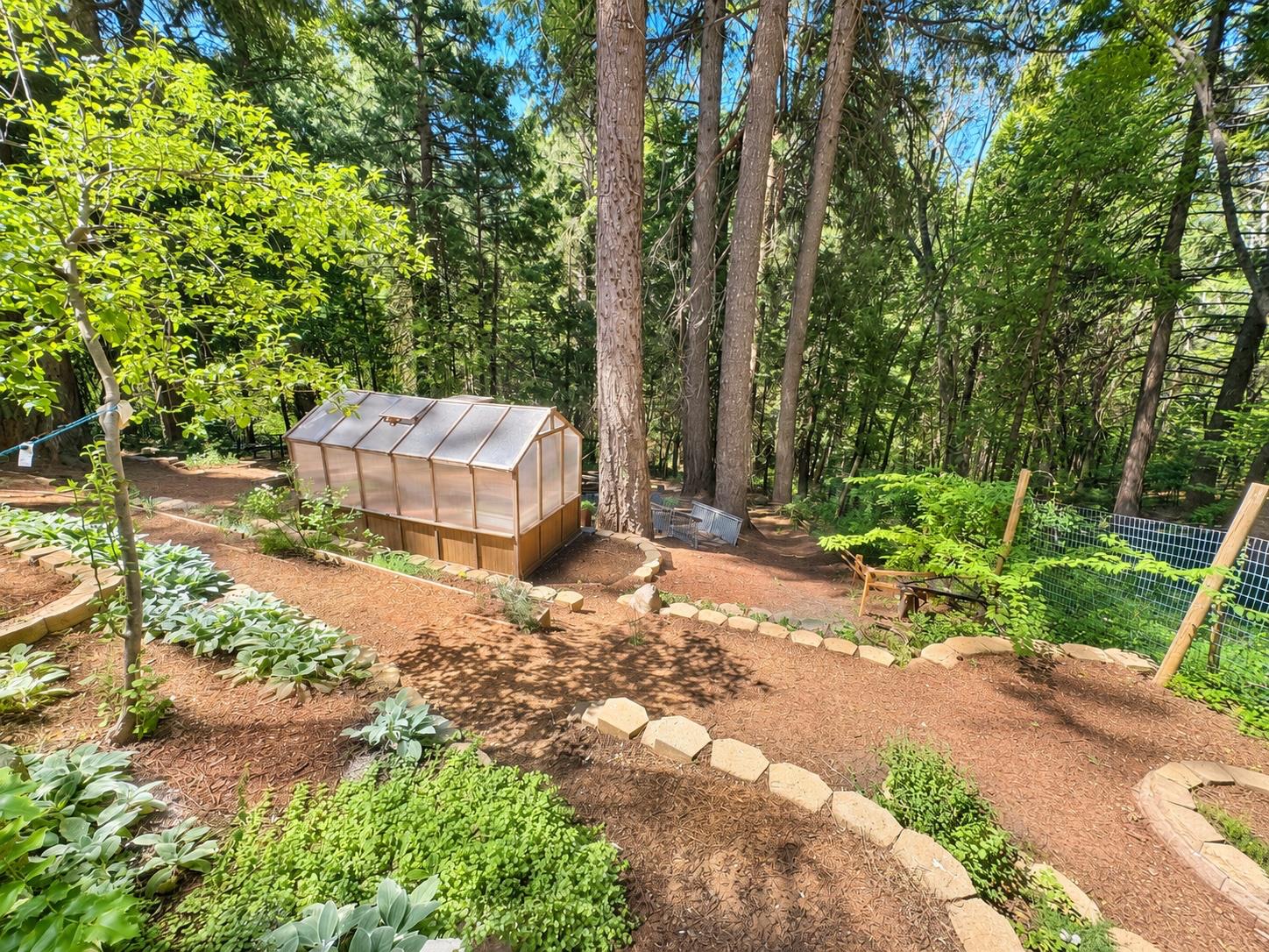 2220 Forebay Road Pollock Pines, CA 95726 - Photo 20 of 27