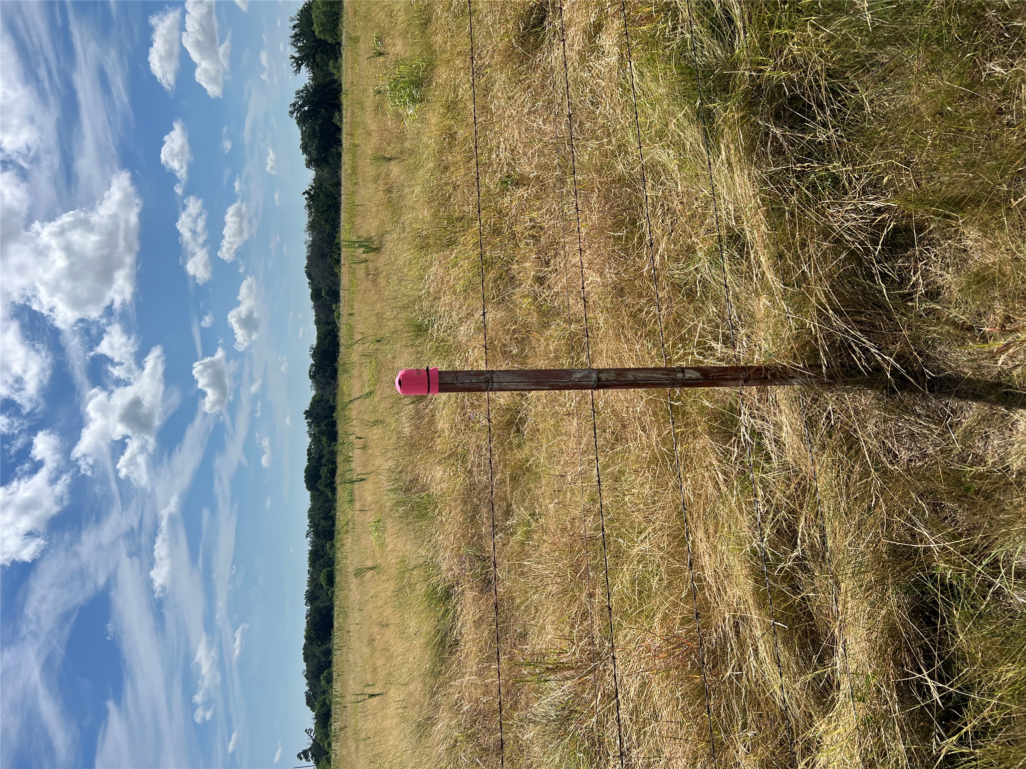 200/ Shady Grove Road Bertram, TX 78605 - Photo 12 of 17 estimated starting point of the property on the easement road