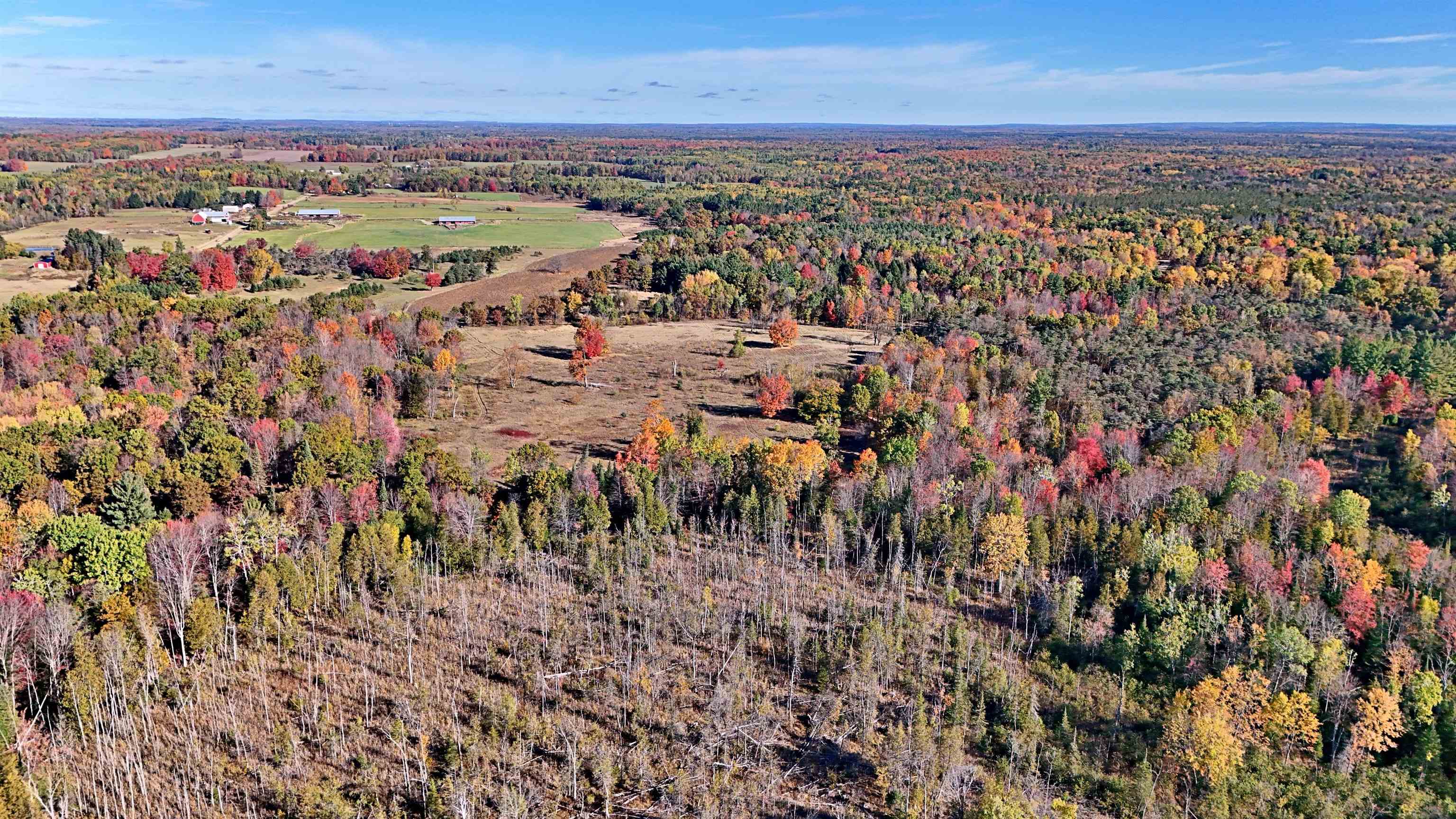 0 Twin Lake Road Marion, MI 49665 - Photo 15 of 33