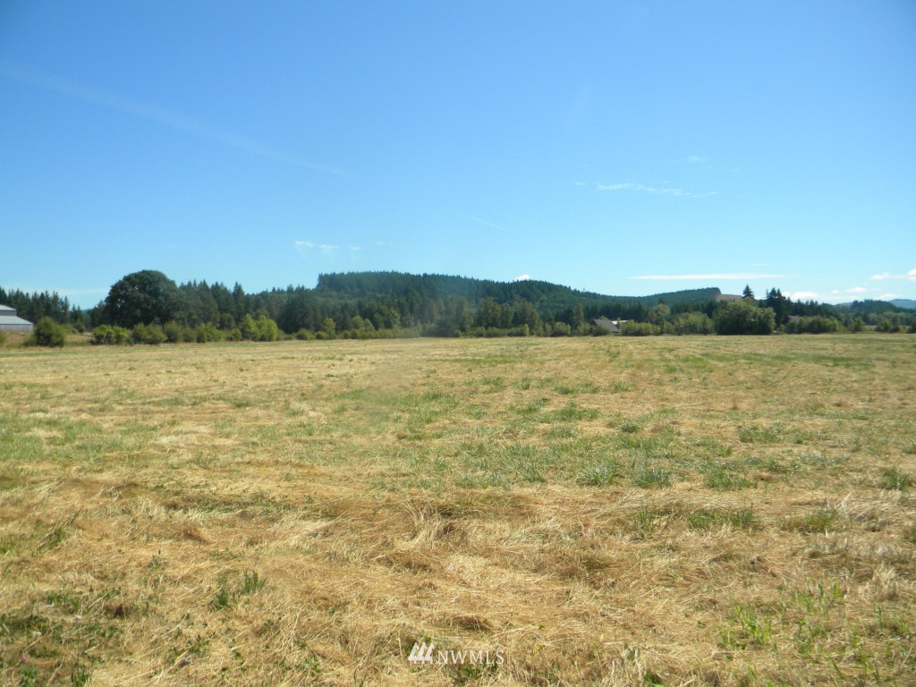 -xx King Road Chehalis, WA 98532 - Photo 2 of 3
