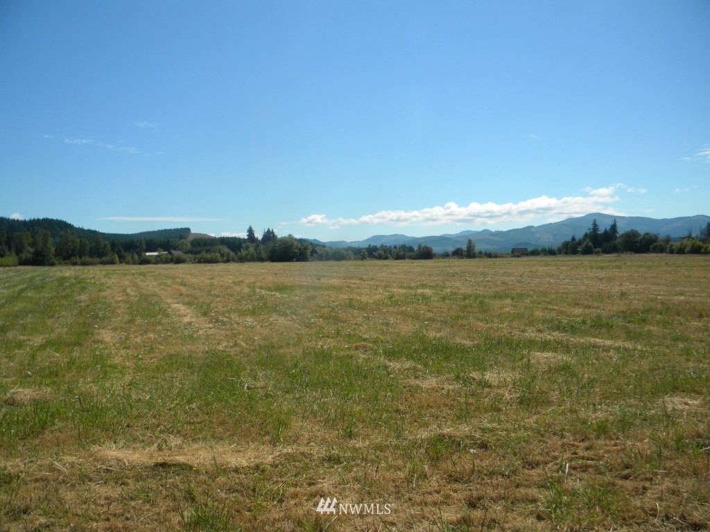 -xx King Road Chehalis, WA 98532 - Photo 3 of 3