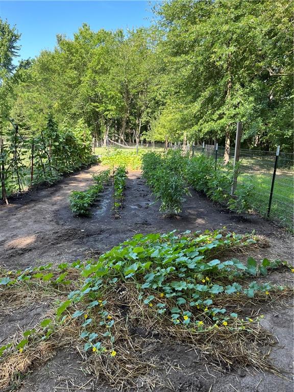 511 Northwest 1891st Road Kingsville, MO 64061 - Photo 4 of 7