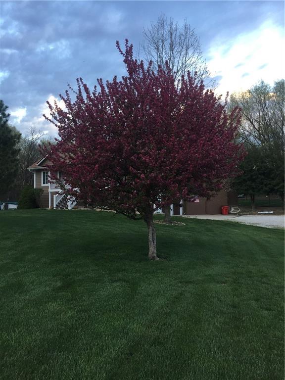 511 Northwest 1891st Road Kingsville, MO 64061 - Photo 6 of 7