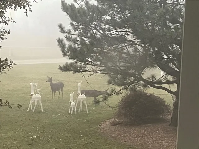 $435,000 | 511 Northwest 1891st Road, Kingsville, MO 64061