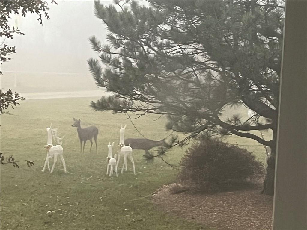 511 Northwest 1891st Road Kingsville, MO 64061 - Photo 7 of 7