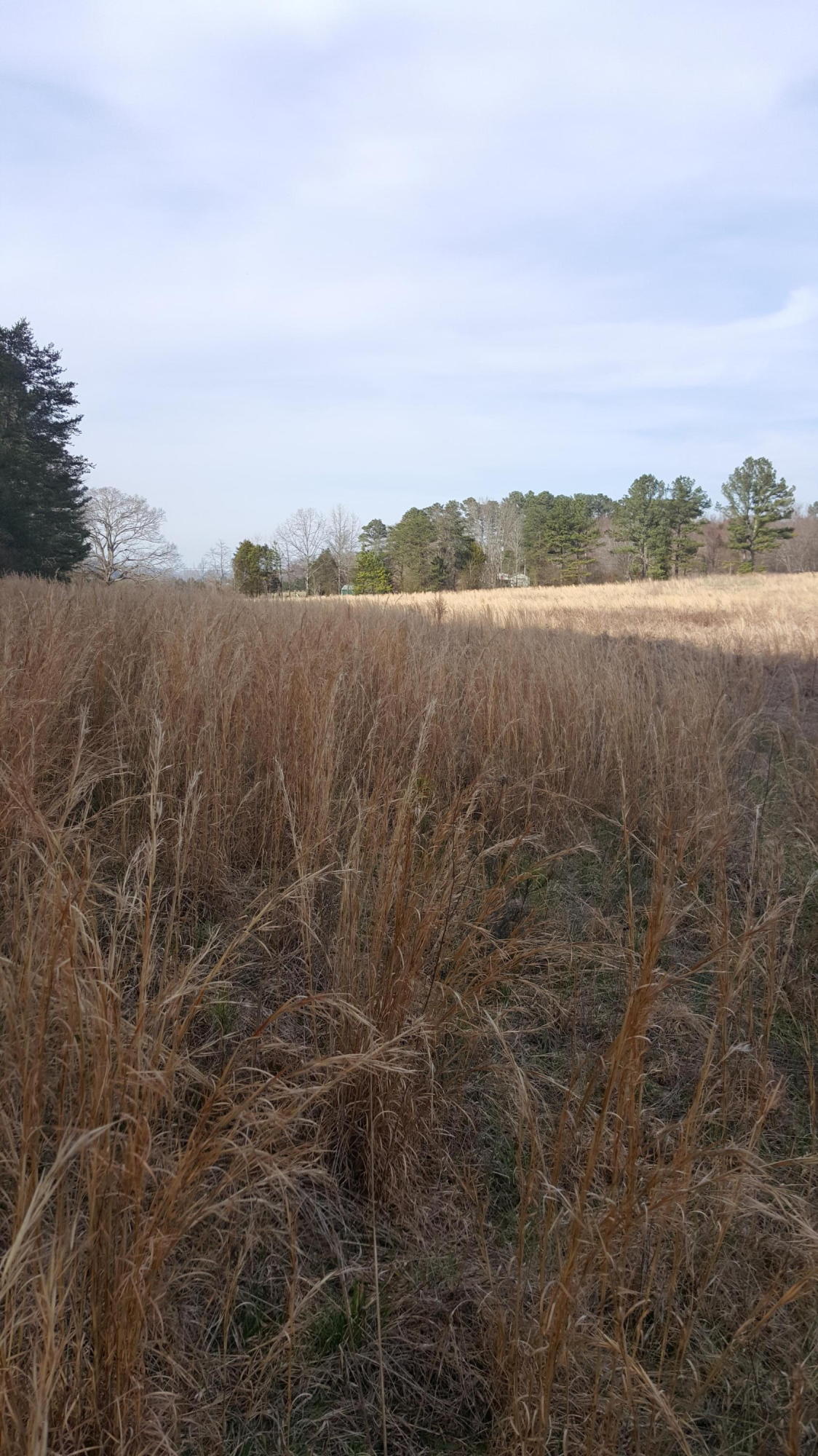 0 Southwest Pleasant Grove Road McDonald, TN 37353 - Photo 3 of 6 Pleasant Grove SW