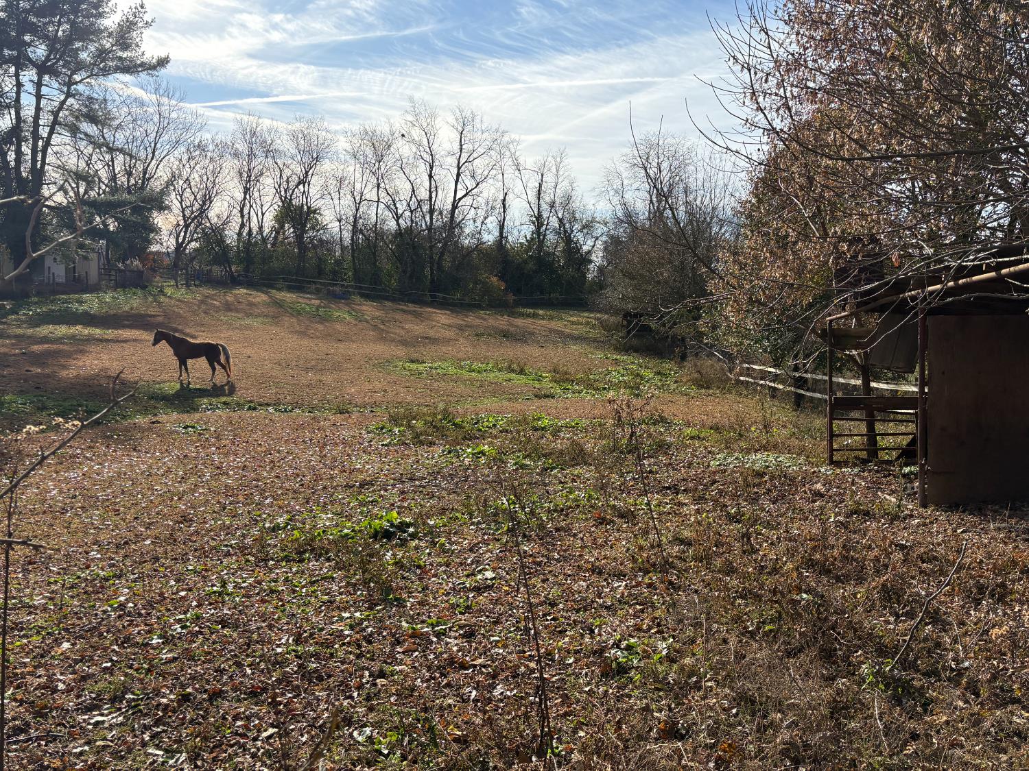 2687 Highway 262 Rising Sun, IN 47040 - Photo 26 of 40