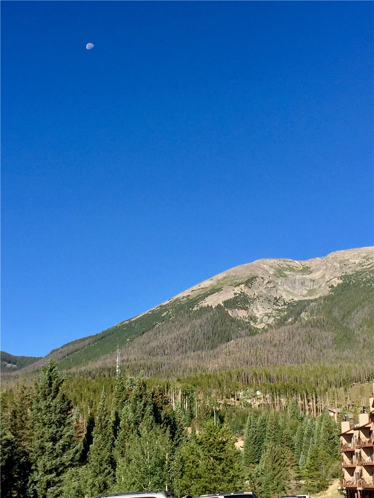 9825 Ryan Gulch Road, Unit 202 Silverthorne, CO 80498 - Photo 21 of 22 Gallery Image 21