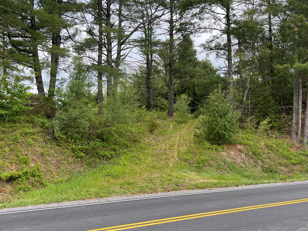 1317 Scenic Road Fries, VA 24330 - Photo 24 of 24 Gallery Image 24