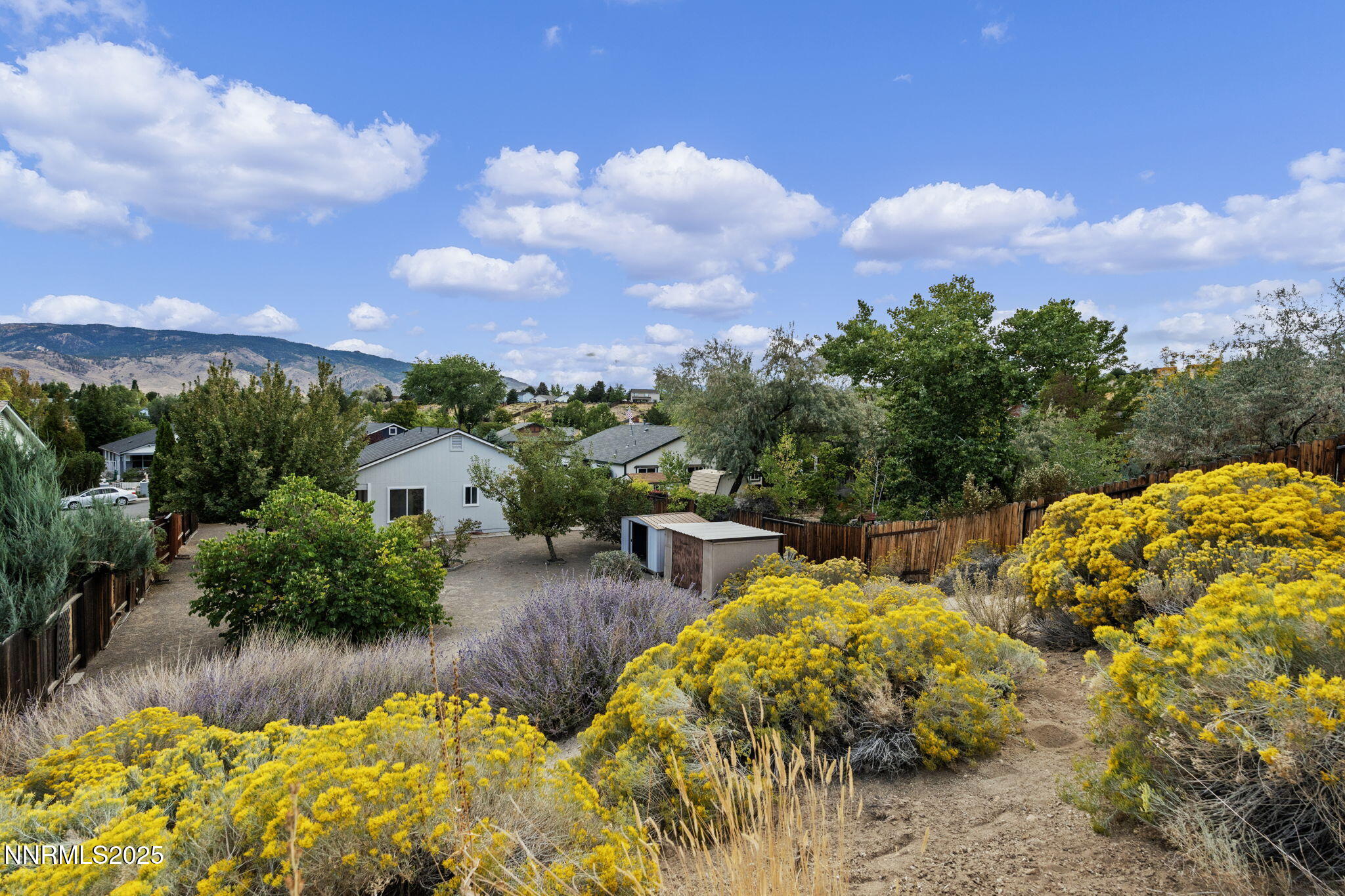 6811 Sonterra Lane Reno, NV 89523 - Photo 23 of 25 a view of a garden with plants and a fountain