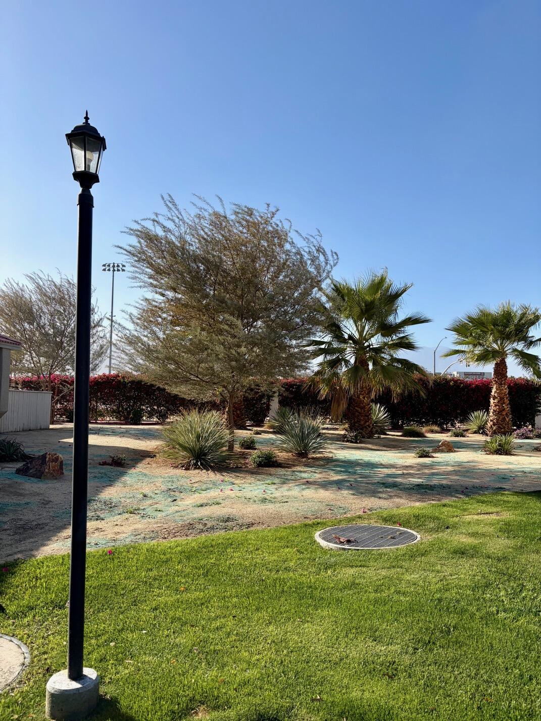 43376 Cook Street, Unit 32 Palm Desert, CA 92211 - Photo 4 of 31 a view of a yard with palm tree