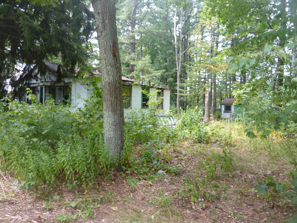 24 Indian Road Groton, MA 01450 - Photo 1 of 1 a view of outdoor space and garden