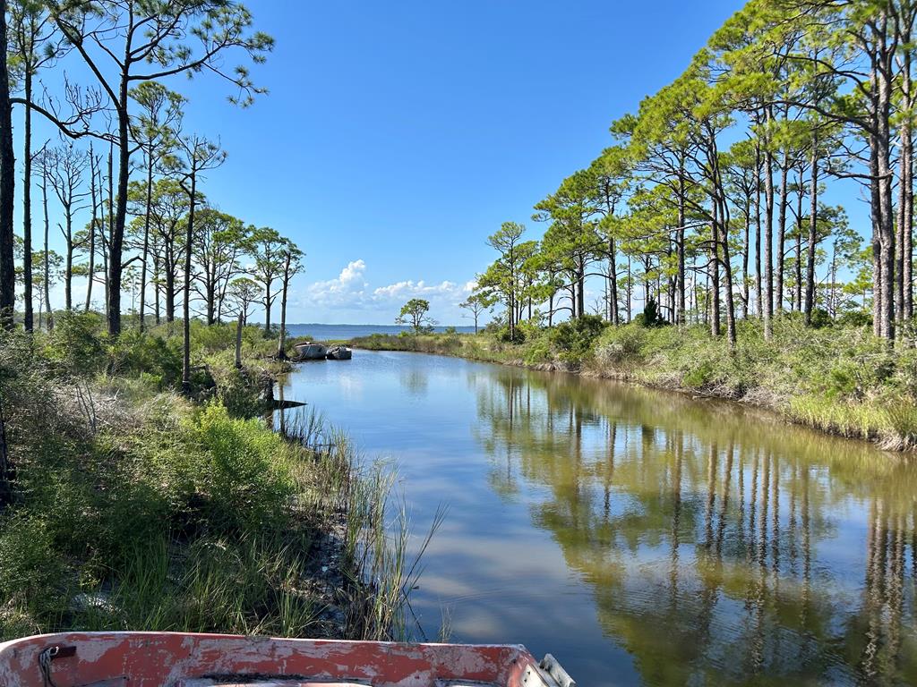 116 Anglers Road Carrabelle, FL 32322 - Photo 3 of 7 Gallery Image 3